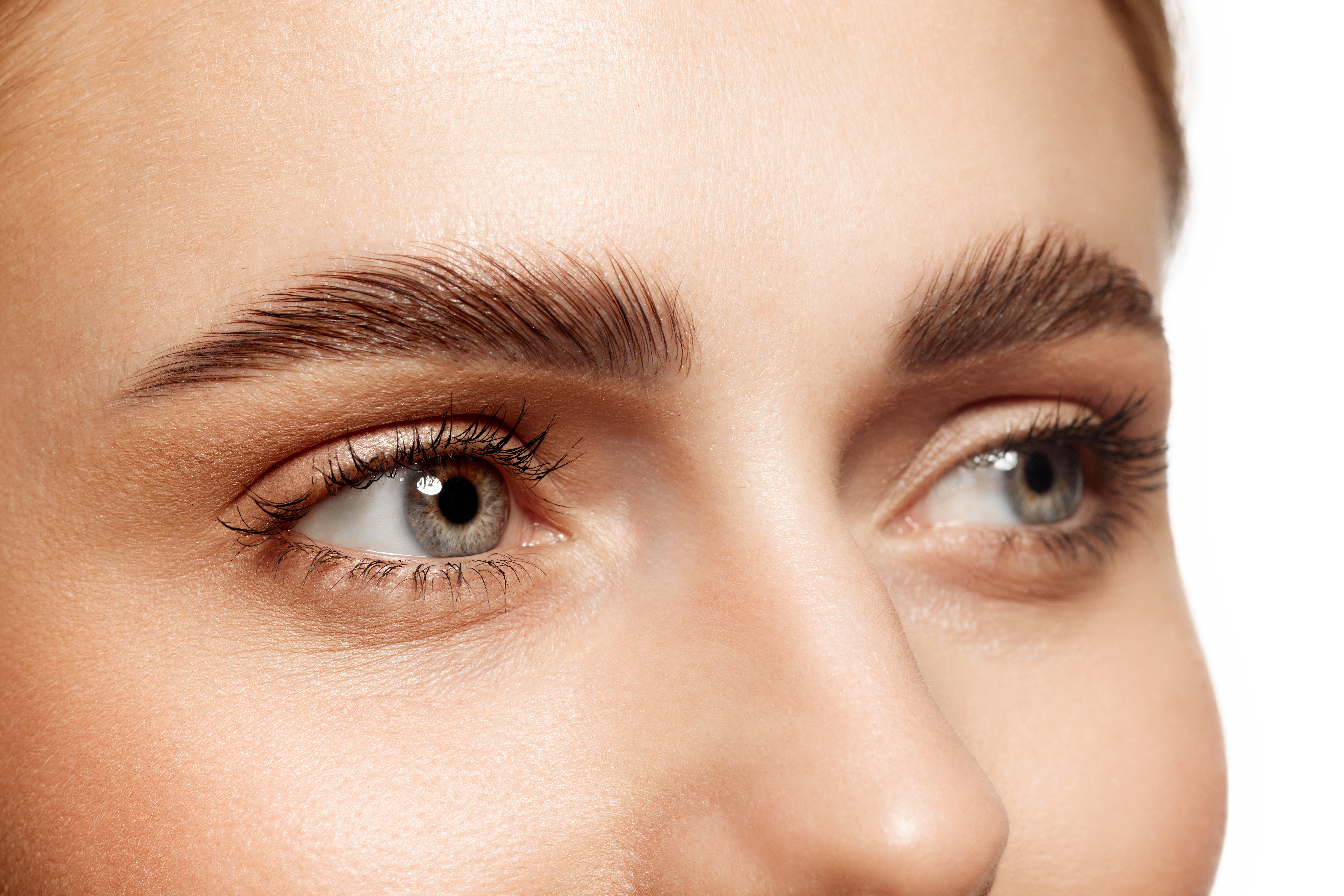 Lash & Brow Treatments